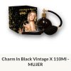 F53 Yves D´Orgeval Parfums Charm In Black Vintage Femenino  110 ml Precios  Por Mayor