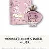 F72 Yves D'Orgeval Parfums Athenea Blosson Femenino 100 ml Precios  Por Mayor
