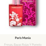 MDF8 Yves D'Orgeval Made In France Femenino ParisMania 100 ML - Precios  Por Mayor