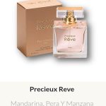 MDF1 Yves D'Orgeval Made In France Fem. Precieux Rave 100 ML -                     Precios  Por Mayor
